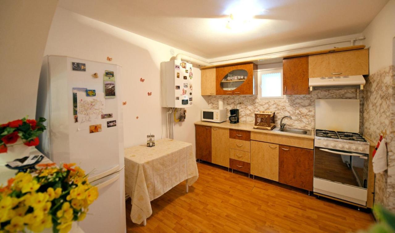 Ferienwohnung Casa Mirandre Haţeg Exterior foto
